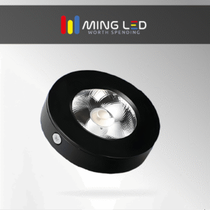 LED Downlight – Cool White (Black Body )