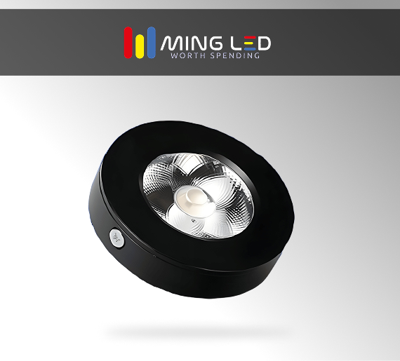 LED Downlight – Cool White (Black Body )