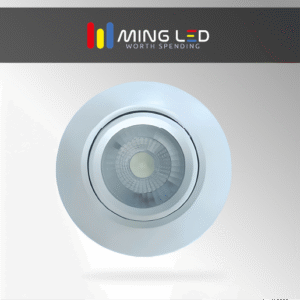 LED Spotlight – Cool White