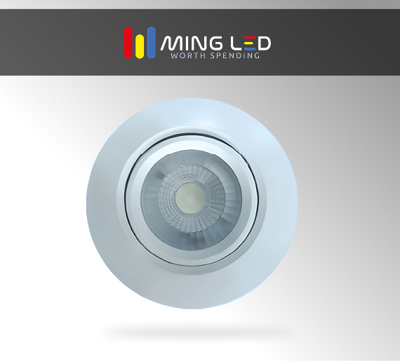 LED Spotlight – Cool White