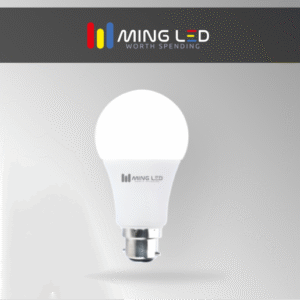 Low Power LED Bulb - Cool White