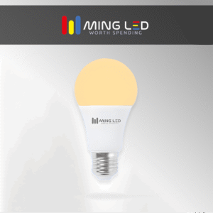 Low Power LED Bulb - Warm White