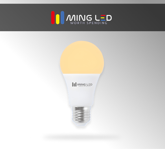 Low Power LED Bulb - Warm White