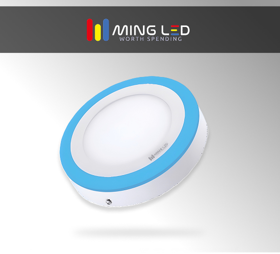 LED Dual Color Round Panel Light – Cool + Blue