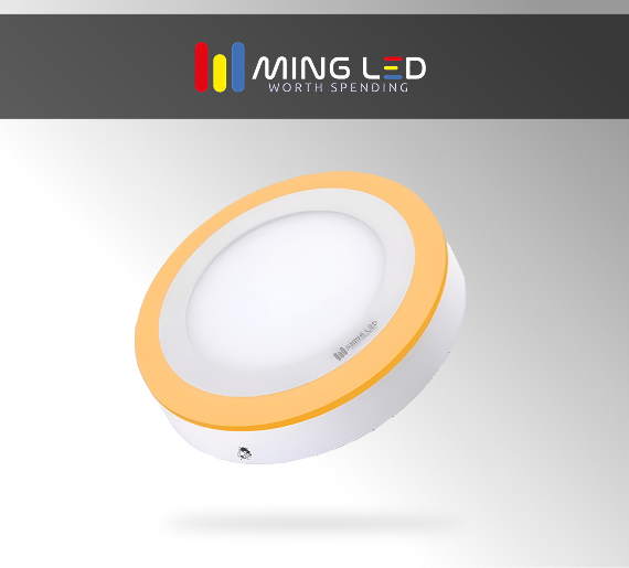 LED Dual Color Round Panel Light – Cool + Warm