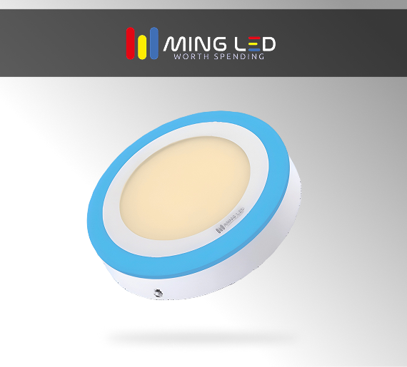 LED Dual Color Round Panel Light – Warm + Blue