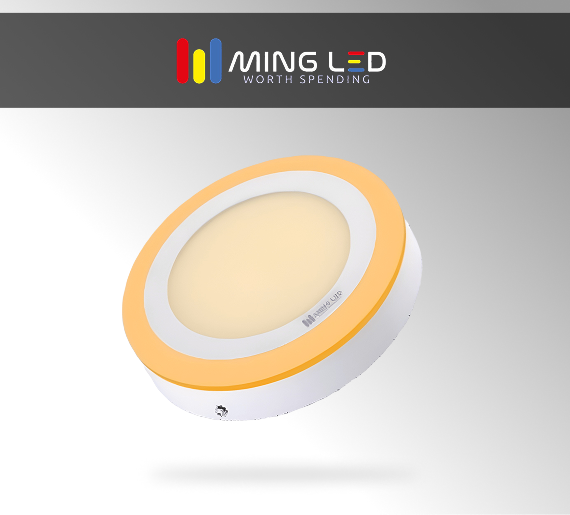 LED Dual Color Round Panel Light – Warm + Warm