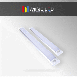 LED Purification Light