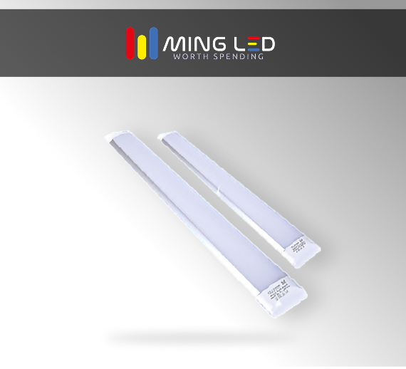 LED Purification Light